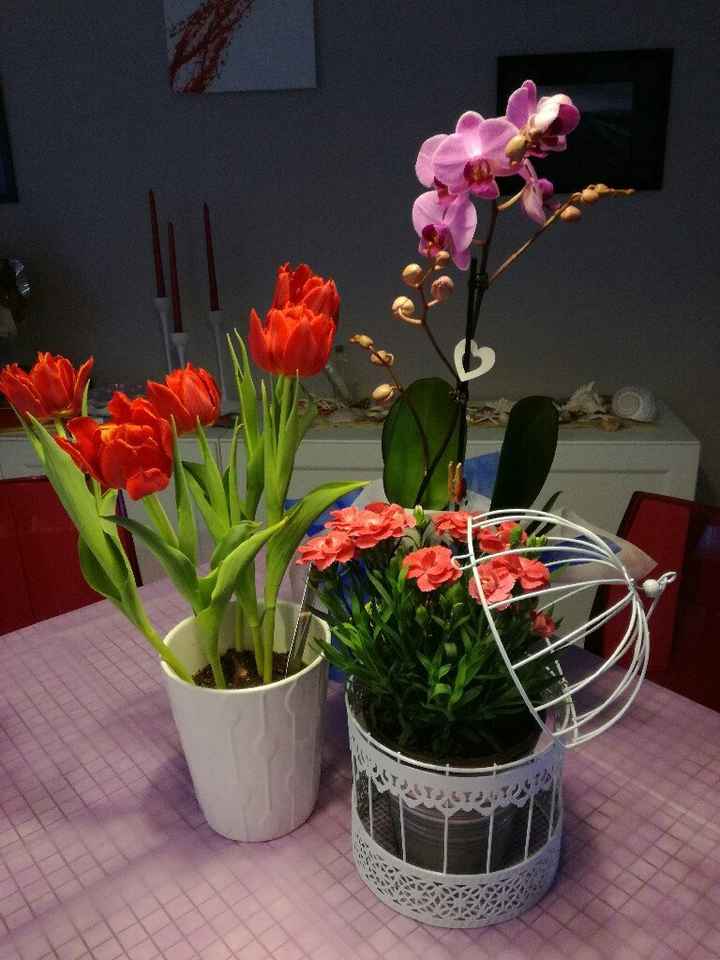 Ultimo compleanno da nubile - 1