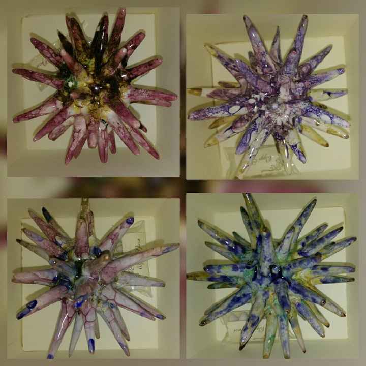 Bomboniere...ricci marini - 1