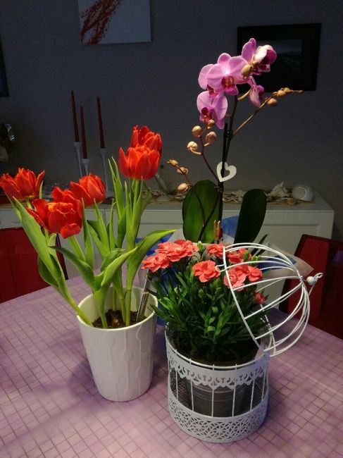 Ultimo compleanno da nubile - 1