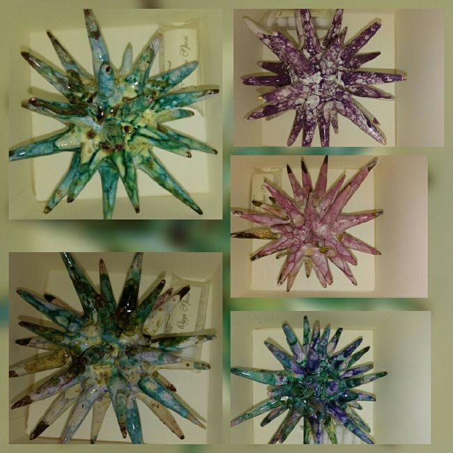 Bomboniere...ricci marini - 2