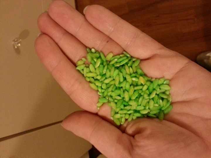 Riso colorato o bianco tradizionale?? - 2