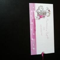 Esperte di fai da te a me! - 1