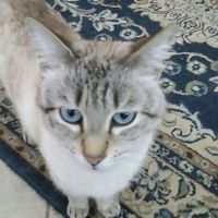 Foto con pelosetti - 2
