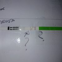 Chi non le aspetta per Marzo 2020 - 1