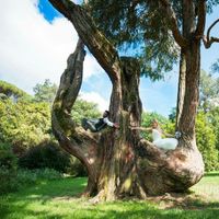 La foto più bella del vostro giorno - 4