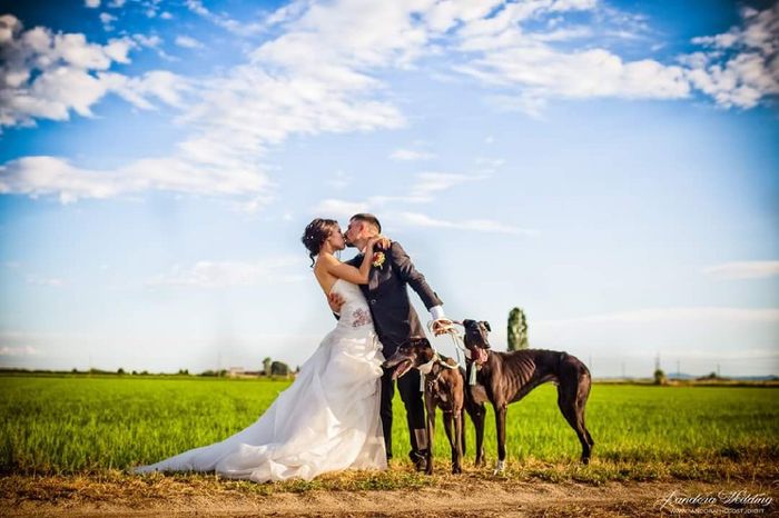 Foto matrimonio luglio 2018 - 2