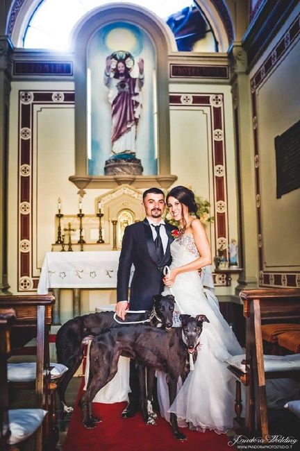 Foto matrimonio luglio 2018 - 3