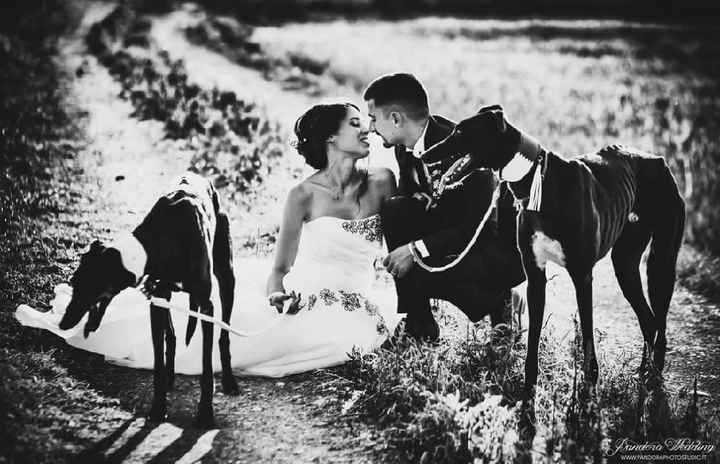 Foto matrimonio luglio 2018 - 1