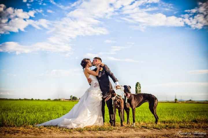 Foto matrimonio luglio 2018 - 2