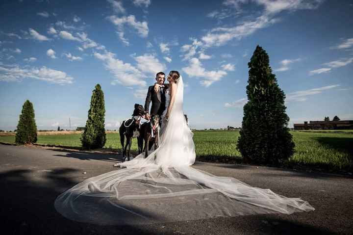 Foto matrimonio luglio 2018 - 5