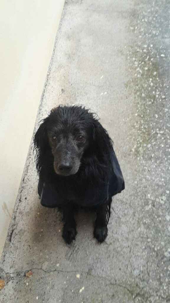 La nuova arrivata ?? - 1