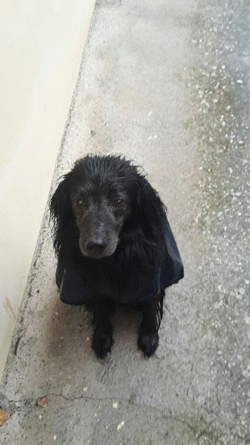 La nuova arrivata ?? - 1