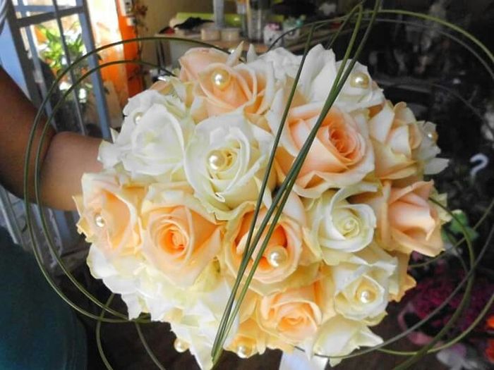 Quale scelgo per il lancio? - 2