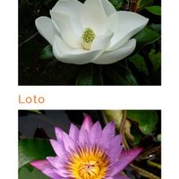 Sposi che celebreranno le nozze il 31 Dicembre 2019 - Campania - 2