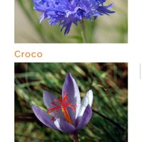 Sposi che celebreranno le nozze il 31 Dicembre 2019 - Campania - 3