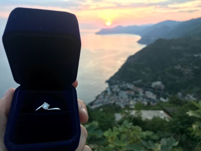 Cosa avete ricevuto come anello di fidanzamento? - 1