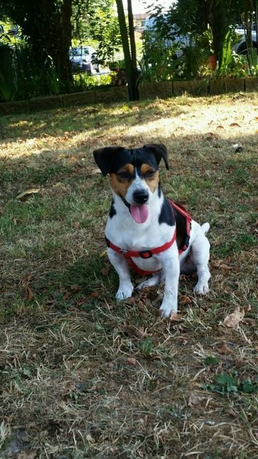 Partecipazioni low cost - 1