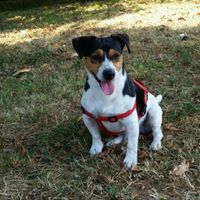 Partecipazioni low cost - 1