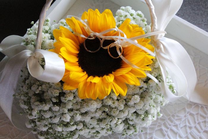 Girasoli ❤️🌻 - 3