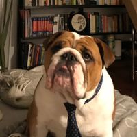 Il più bel regalo ricevuto 💝 - 1