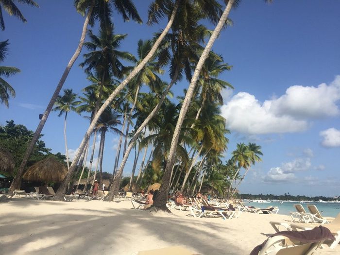 Help! viaggio di nozze a santo domingo - 2