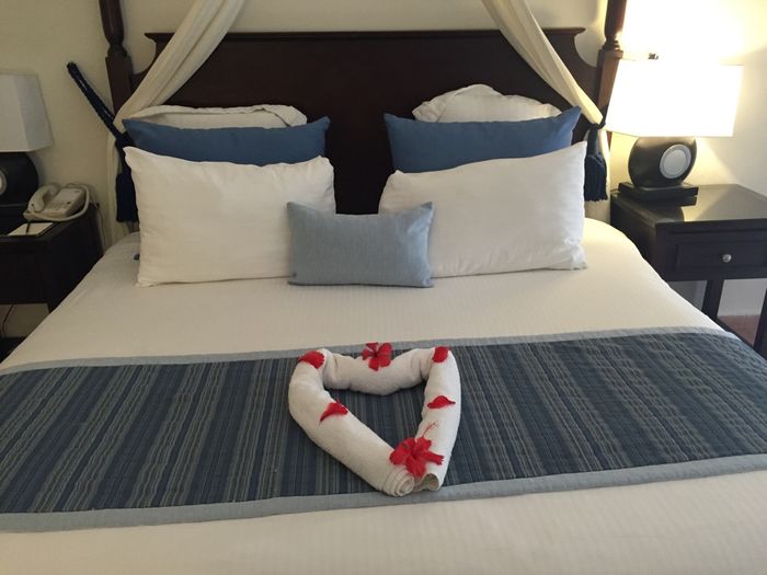 Help! viaggio di nozze a santo domingo - 5