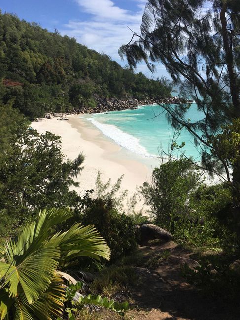 Viaggio di nozze - 1