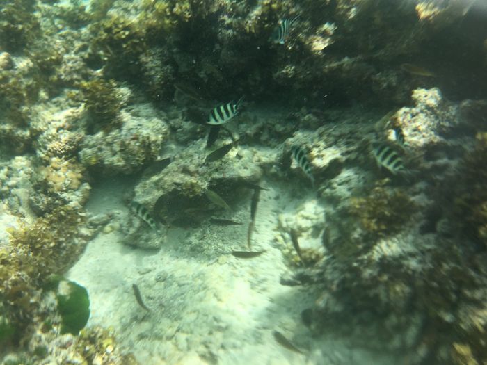 Viaggio di nozze - 2