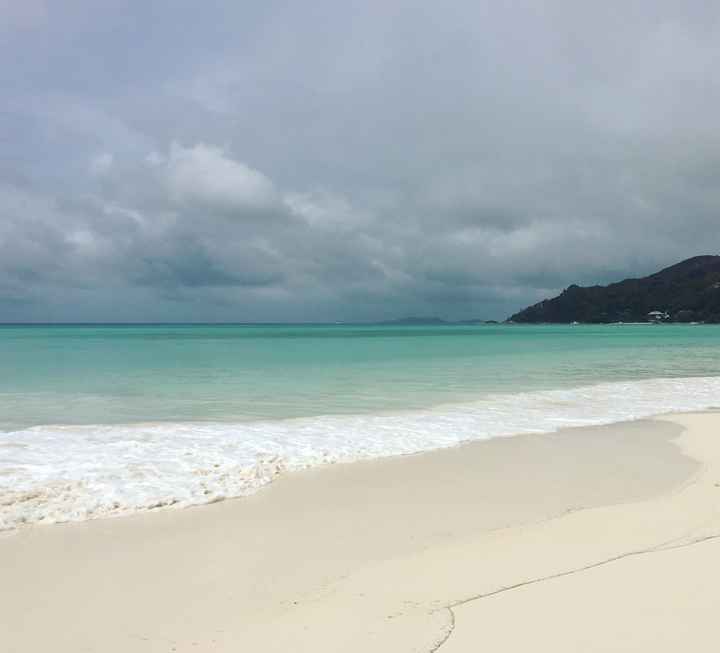 Viaggio di nozze - 4