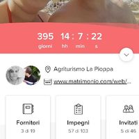 Quanti giorni mancano al vostro matrimonio? - 1