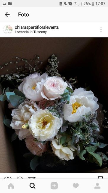 Crisi colore e bouquet - 1