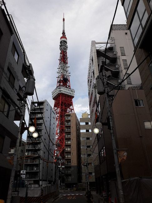 Luna di miele: destinazione Giappone! 8