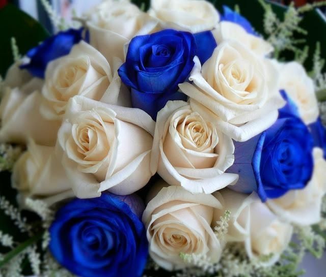 Matrimonio in blu! - 1