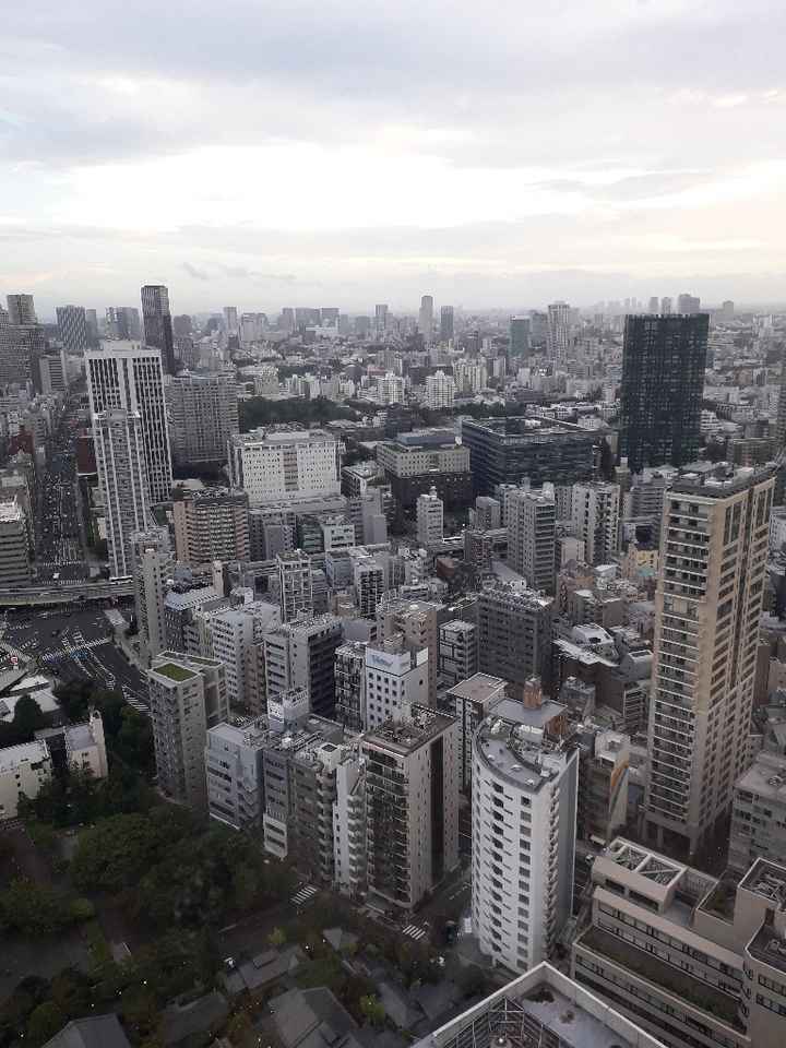 Luna di miele: destinazione Giappone! - 7