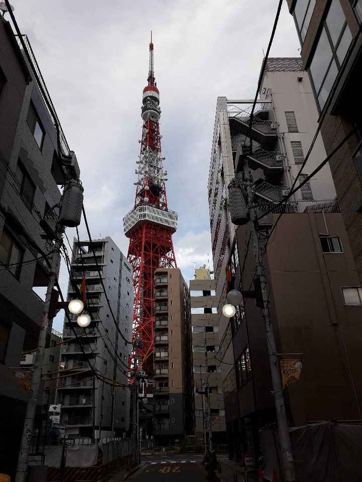 Luna di miele: destinazione Giappone! - 8
