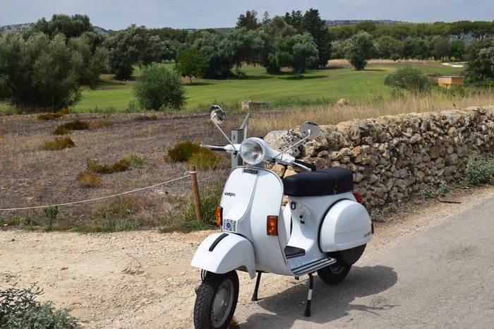 Noleggio Vespa Px d'epoca,1982