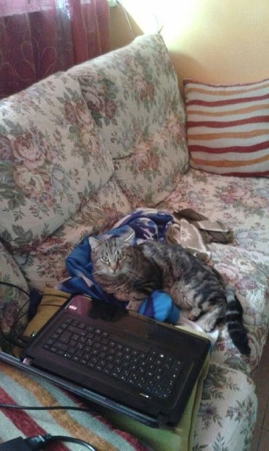 Cake topper finalmente!!! - 1