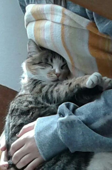 Cake topper finalmente!!! - 2