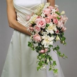 Club della sposa verde - 2