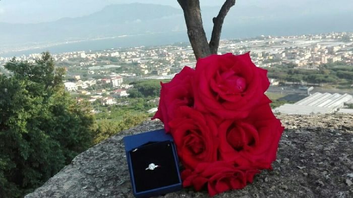 Proposta eccessiva o romantica ? - 1