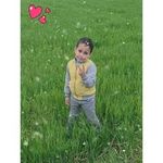 Hichan