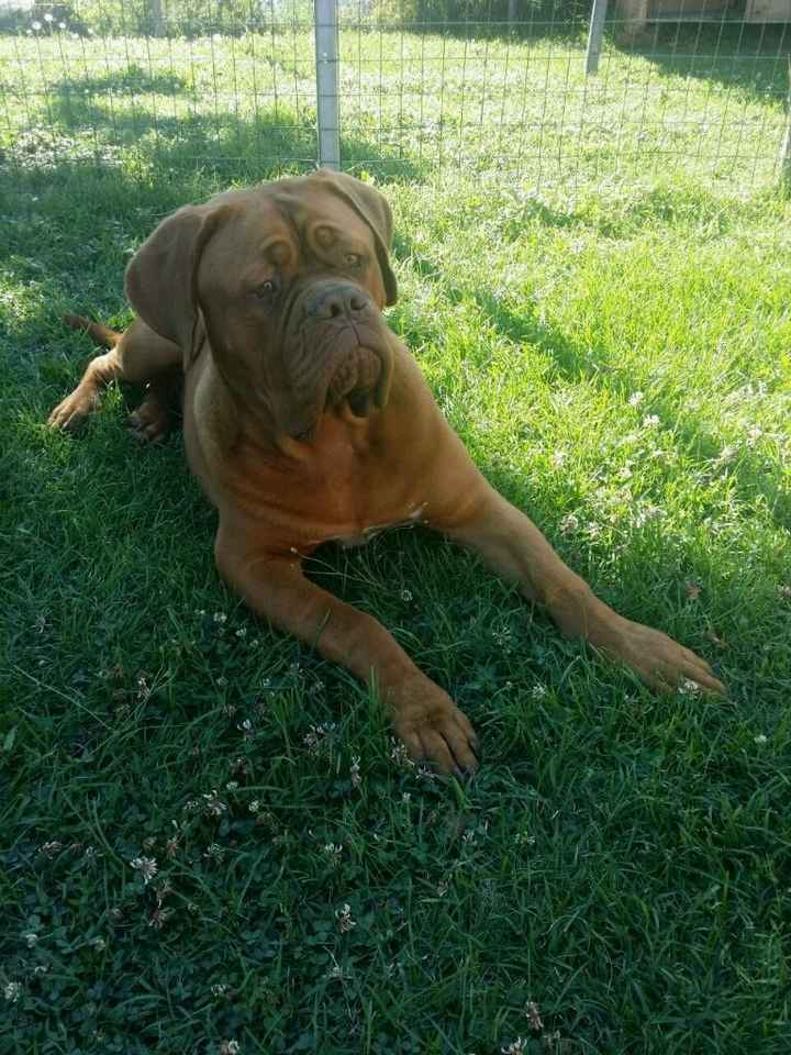 Regalo anniversario da parte del mio fm - 2