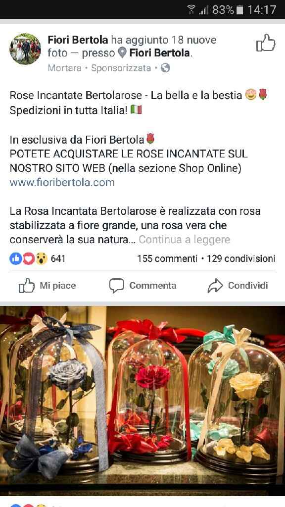  Ho trovato la rosa incantata della bella e la bestia ;-) - 1