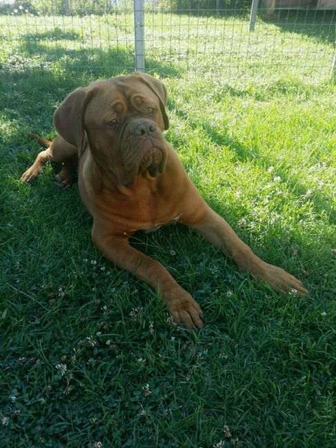 Regalo anniversario da parte del mio fm - 2