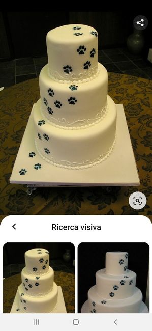 Tema matrimonio animali - 1