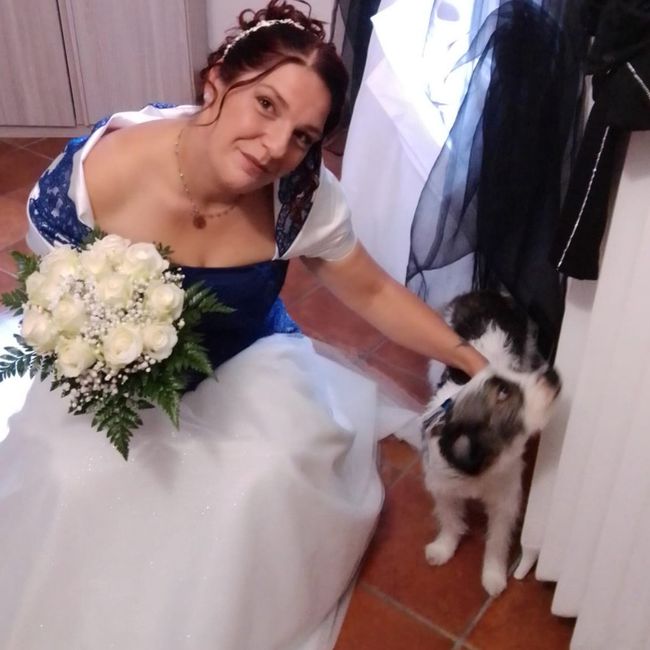 i nostri amici animali - 1