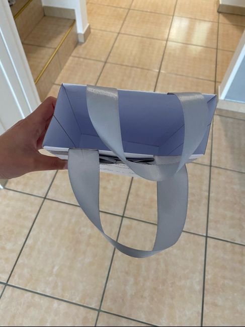 Wedding Bag sì o Wedding Bag no? - 2