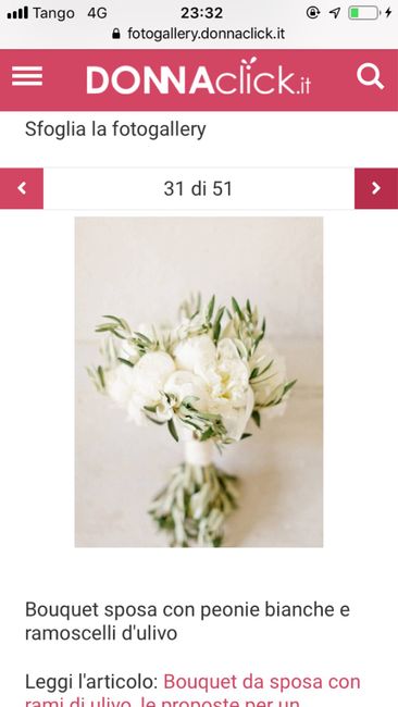 Bouquet e ulivo ??? - 4