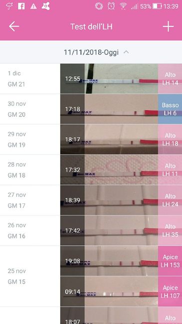 Lh ancora medioalto 4