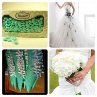 Il colore del mio matrimonio